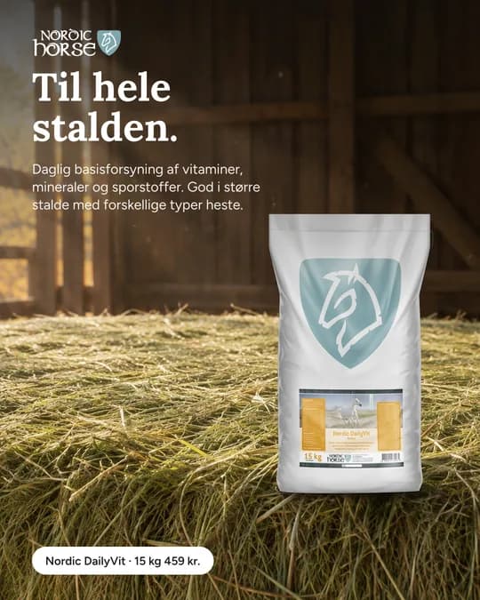 Meta ad for Nordic Horse (NH-03)