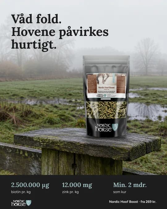 Meta ad for Nordic Horse (NH-05)