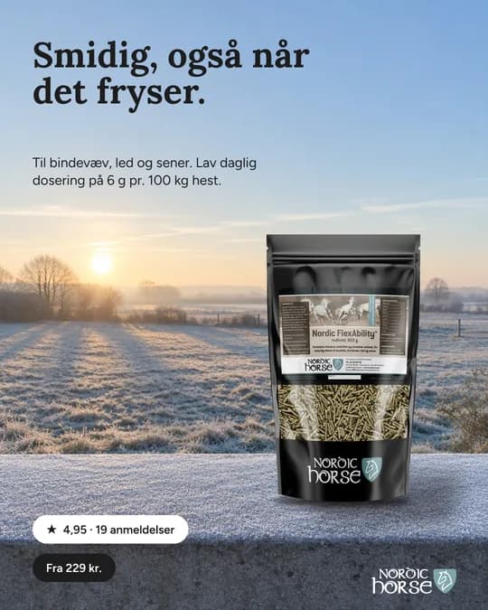 Meta ad for Nordic Horse (NH-07)