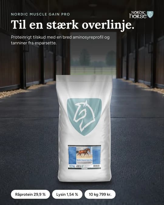 Meta ad for Nordic Horse (NH-24)
