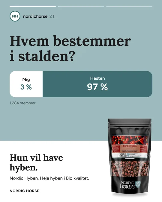 Meta ad for Nordic Horse (NH-55)